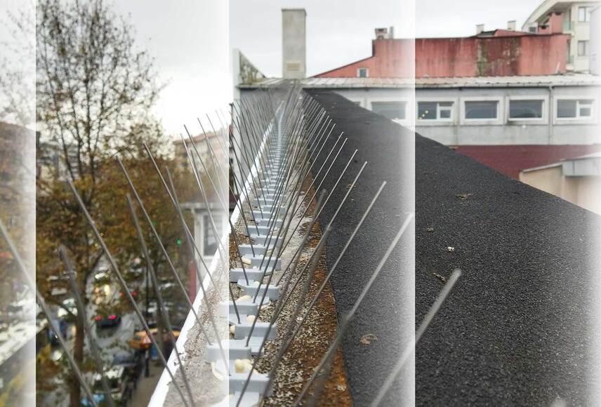 Kuş Teli ve Diken Sistemleri