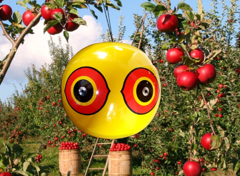 Kuş Balonları ve Alternatif Alanlar